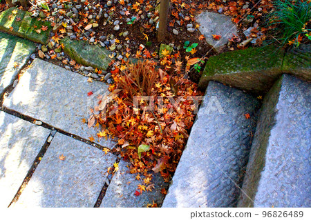 【埼玉】冬天，長瀞的穗玉稻荷神社前的石階上，燦爛的落葉席捲而來 96826489