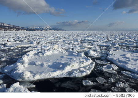 Drift ice of Rausu, Shiretoko Peninsula, Hokkaido 96827006