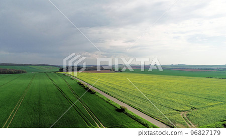 View overlooking the rapeseed field in countryside of Berkshire 96827179
