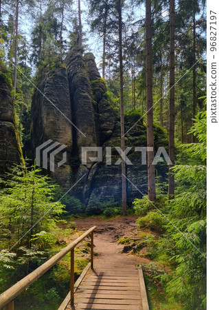 A small interesting hiking trail in the forest in the highlands. 96827197