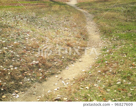 土路風景02 土路風景02 96827609