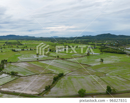 Aerial top view of paddy rice terraces with water reflection, green agricultural fields in countryside, mountain hills valley, Pabongpieng, Chiang Mai, Thailand. Nature landscape. Crops harvest. Aerial top view of paddy rice terraces with water reflection, green agricultural fields in countryside, mountain hills valley, Pabongpieng, Chiang Mai, Thailand. Nature landscape. Crops harvest. 96827831