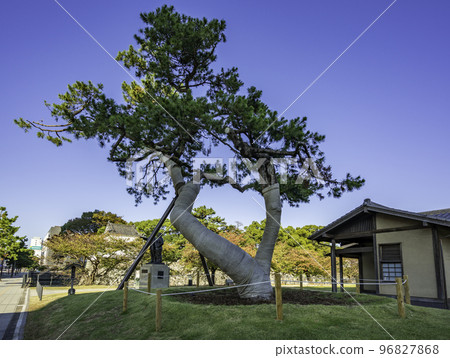 大分城公園 Gaien no Matsu 大分縣大分市 96827868