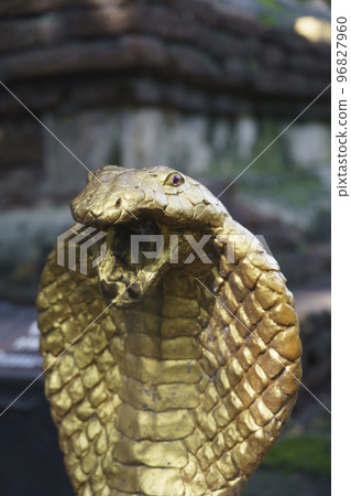 Wat Jed Yod, built in 1497, is a large active temple where monks live and study, and is seldom Wat Jed Yod, built in 1497, is a large active temple where monks live and study, and is seldom 96827960