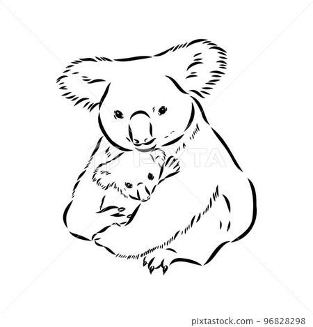 Koala bear animal on tree sketch engraving vector illustration. Scratch board style imitation. Black and white hand drawn image. Koala bear animal on tree sketch engraving vector illustration. Scratch board style imitation. Black and white hand drawn image. 96828298