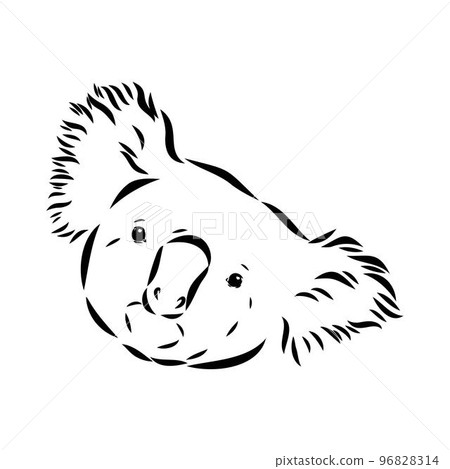 Koala bear animal on tree sketch engraving vector illustration. Scratch board style imitation. Black and white hand drawn image. Koala bear animal on tree sketch engraving vector illustration. Scratch board style imitation. Black and white hand drawn image. 96828314