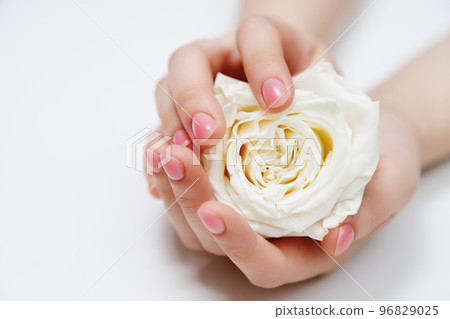 Closeup top view of elegant pastel pink natural 96829025