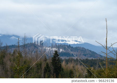 Wonderful views of the Carpathian Mountains covered with snow and a clear blue sky in Ukraine. 96829136