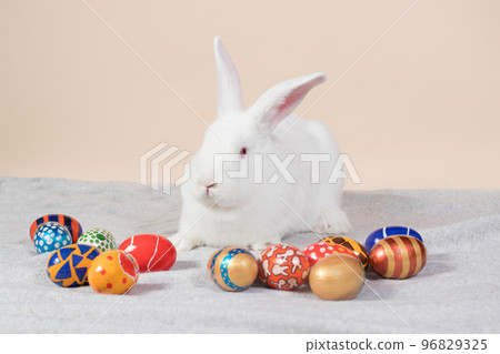 Easter day and religious symbol - a white fluffy rabbit with long ears with colorful painted eggs. With a place for text to copy space on pink beige minimalistic pastel background 96829325