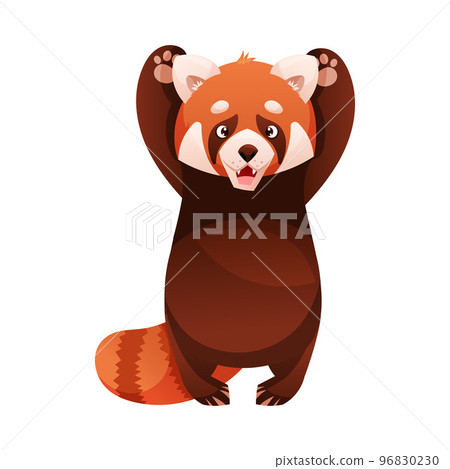 Adorable Red Panda as Small Fluffy Mammal with Dense Reddish-brown Fur and Ringed Tail Standing on Hind Legs Vector Illustration 96830230