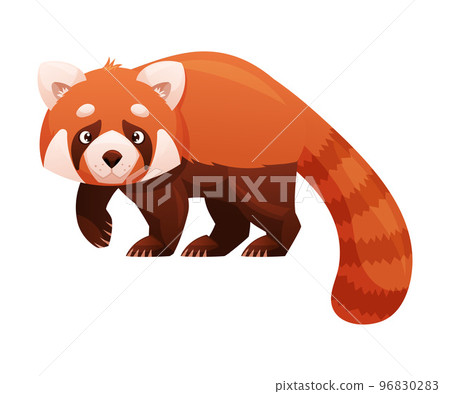 Adorable Red Panda as Small Fluffy Mammal with Dense Reddish-brown Fur and Ringed Tail Walking Vector Illustration Adorable Red Panda as Small Fluffy Mammal with Dense Reddish-brown Fur and Ringed Tail Walking Vector Illustration 96830283