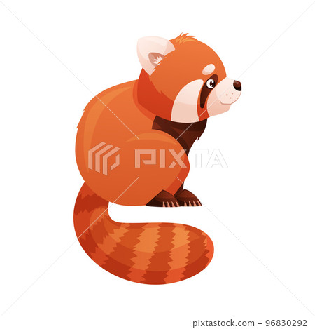 Adorable Red Panda as Small Fluffy Mammal with Dense Reddish-brown Fur and Ringed Tail Sitting Side View Vector Illustration 96830292