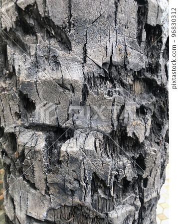 Grunge Tree Bark Grunge Tree Bark 96830312