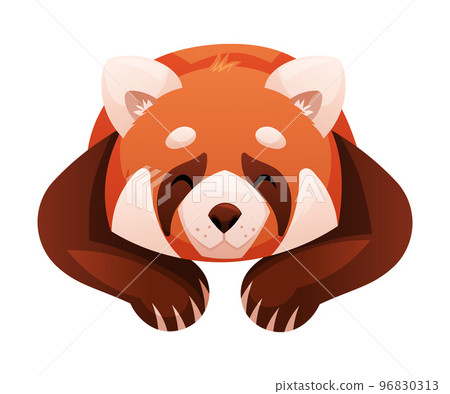 Adorable Red Panda as Small Fluffy Mammal with Dense Reddish-brown Fur Lying Vector Illustration Adorable Red Panda as Small Fluffy Mammal with Dense Reddish-brown Fur Lying Vector Illustration 96830313