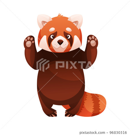 Adorable Red Panda as Small Fluffy Mammal with Dense Reddish-brown Fur and Ringed Tail Standing on Hind Legs Vector Illustration Adorable Red Panda as Small Fluffy Mammal with Dense Reddish-brown Fur and Ringed Tail Standing on Hind Legs Vector Illustration 96830316