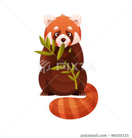 Adorable Red Panda Sitting with Green Branch as Small Fluffy Mammal with Dense Reddish-brown Fur and Ringed Tail Vector Illustration 96830325