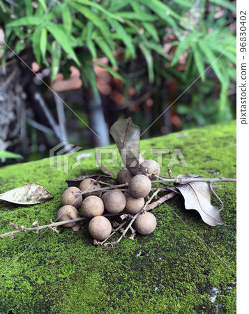 Longan Fruit Asian 96830402