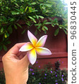 Five Patel Flower Hand Holding 96830445