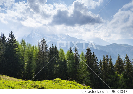 Idyllic landscape in the Alps with fresh green meadows, pine forest and mountain tops in the background Idyllic landscape in the Alps with fresh green meadows, pine forest and mountain tops in the background 96830471