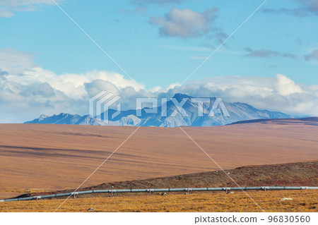 Pipeline 96830560