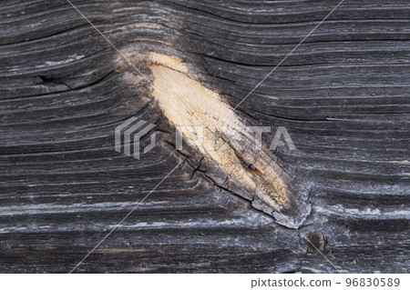 The old wood texture with natural patterns 96830589