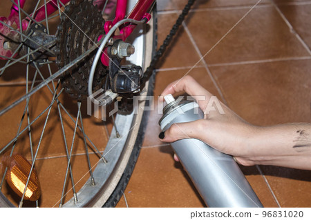 girl cleaning her bike with a rag and spray girl cleaning her bike with a rag and spray 96831020