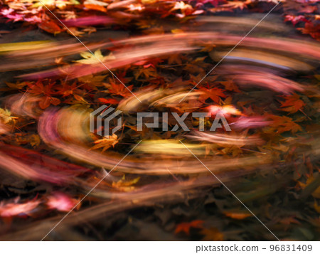 autumn leaves floating in the stream 96831409