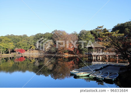 奈良公園秋葉 96831684