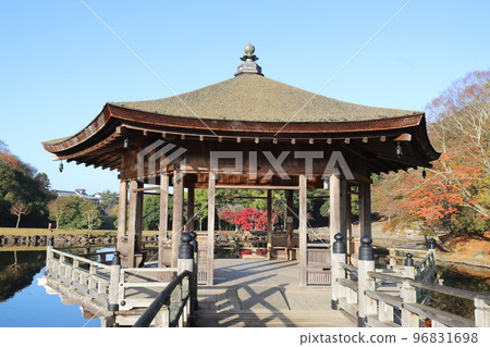 奈良公園秋葉 奈良公園秋葉 96831698