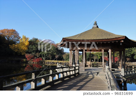 Autumn leaves of Nara Park Autumn leaves of Nara Park 96831699