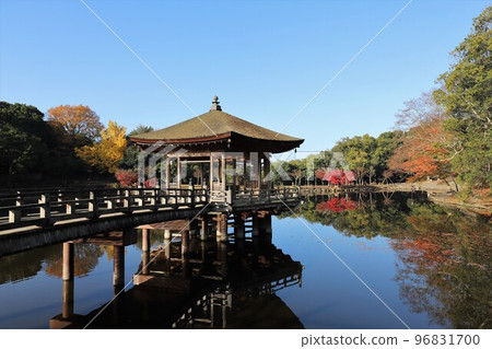 Autumn leaves of Nara Park 96831700