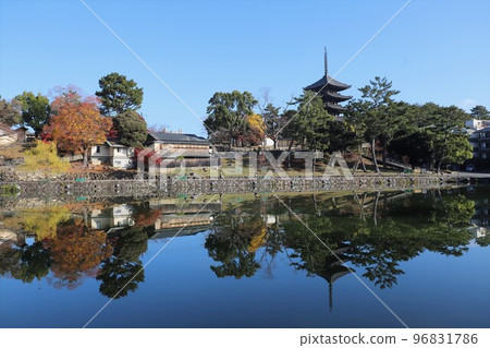 Autumn leaves of Nara Park Autumn leaves of Nara Park 96831786