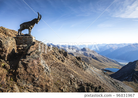 Ibex above Piz Nair mountain range with lake in the Alps, Engadine, Switzerland 96831967