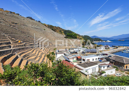 愛媛縣 / 弓水浦梯田 弓水浦梯田』 愛媛縣 / 弓水浦梯田 弓水浦梯田』 96832842
