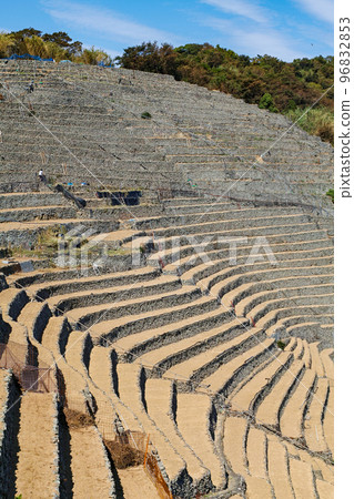 愛媛縣 / 弓水浦梯田 弓水浦梯田』 96832853