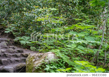 Steep mountain path of Naena Falls (July) Steep mountain path of Naena Falls (July) 96833380
