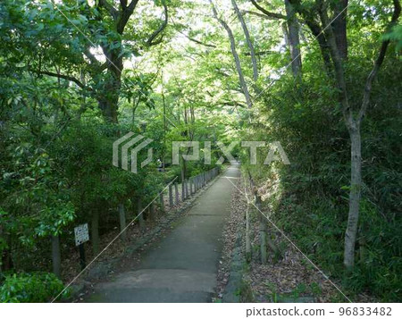 平山城跡公園(東京都八王子市) 平山城跡公園(東京都八王子市) 96833482