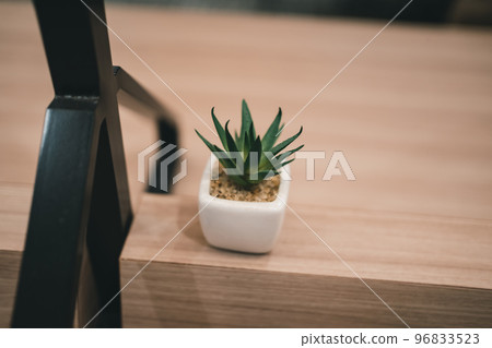 houseplants at work 96833523