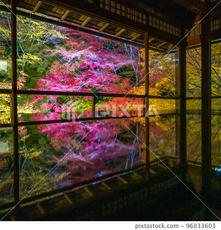 Autumn leaves reflection (1:1) 96833603