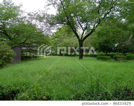 藤橋城址(東京都青梅市) 藤橋城址(東京都青梅市) 96833929