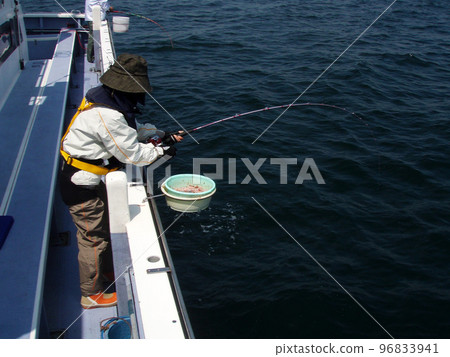 一名婦女與一條在捕撈紅海鯛的船上捕獲的魚互動。 一名婦女與一條在捕撈紅海鯛的船上捕獲的魚互動。 96833941