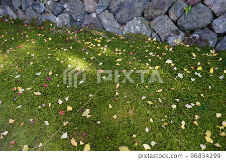 Moss of the ancient Myokenzan Kokusekiji Temple Moss of the ancient Myokenzan Kokusekiji Temple 96834299