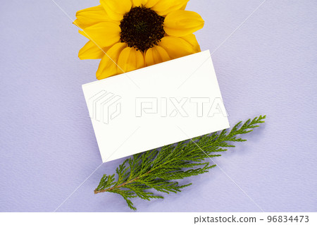 鮮花和名片模型 鮮花和名片模型 96834473