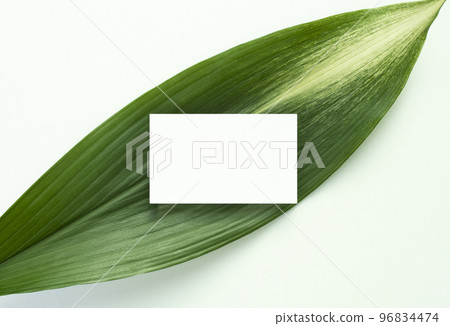 flowers and business card mock-up flowers and business card mock-up 96834474