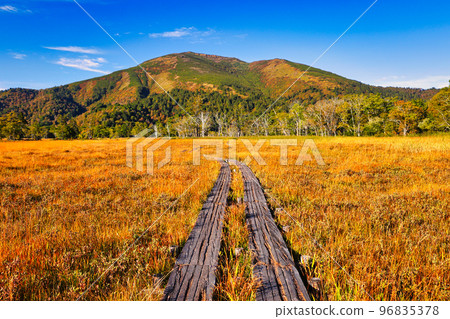 Autumnal leaves Ozegahara and Mt. Foshan 96835378
