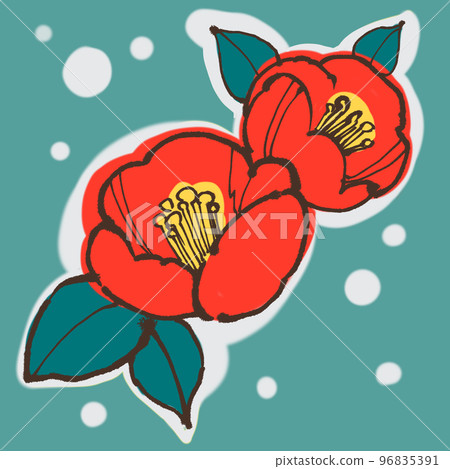 美麗的紅色山茶花 美麗的紅色山茶花 96835391