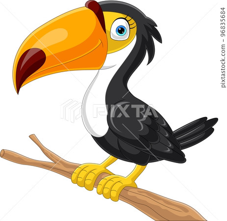 Cartoon toucan bird on tree branch Cartoon toucan bird on tree branch 96835684