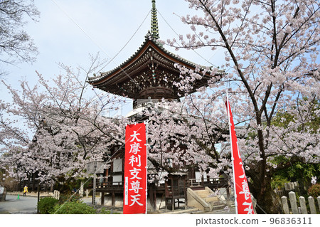 Kyoto Honpoji Spring 2022 Kyoto Honpoji Spring 2022 96836311