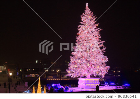 Hakodate Christmas Fantasy 2022 Hakodate Christmas Fantasy 2022 96836541