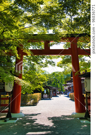World Heritage Shimogamo Shrine May 2022 96836771